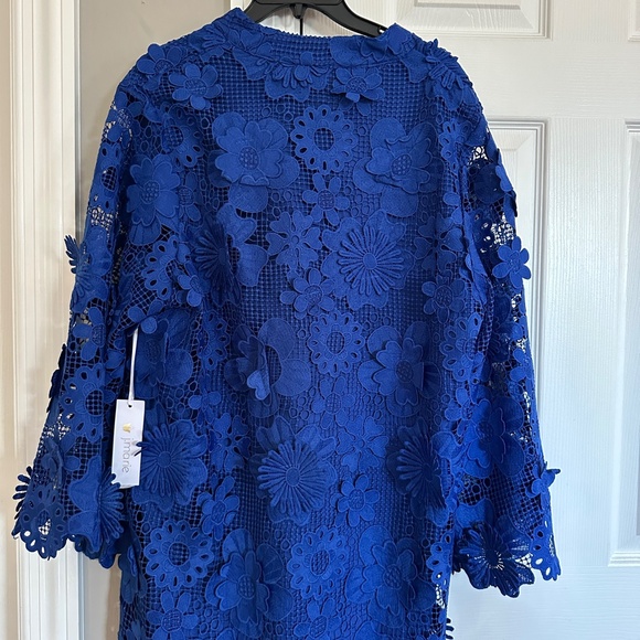 Elegant Blue Lace Dress - Picture 12 of 16